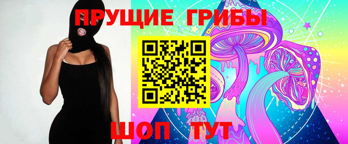 Псилоцибиновые грибы MAGIC MUSHROOMS  Вход с VPN  Петропавловск-Камчатский  Галлюциногенные грибы GOLDEN TEACHER 